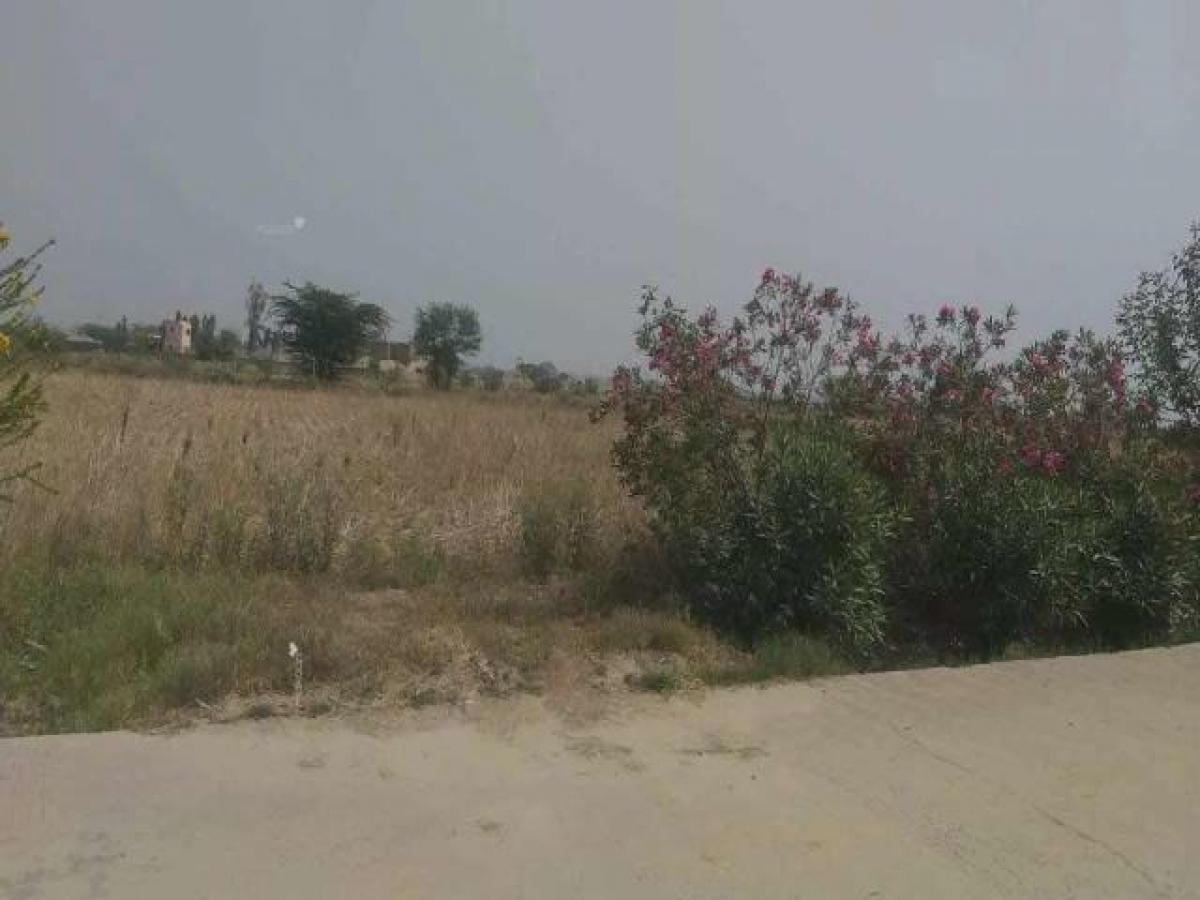  Land in Ghaziabad, India No. 33223