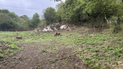 Terreno en Comunidad Foral de Navarra, Spain No. 159529