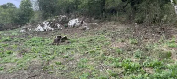 Terreno en Comunidad Foral de Navarra, Spain No. 159529 8