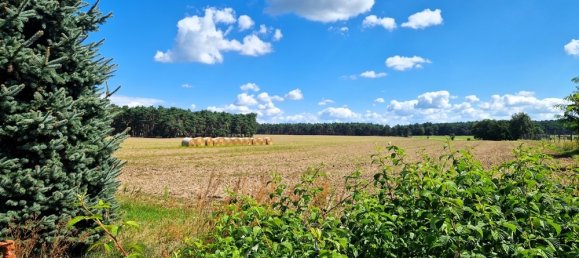4 rooms House in Dahme-Spreewald, Germany No. 41325 13