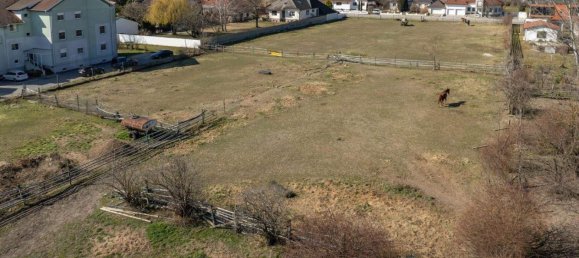  قطعة أرض في Gols, Austria رقم 256273 5