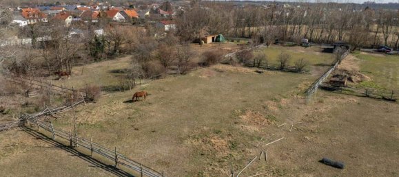  قطعة أرض في Gols, Austria رقم 256273 3