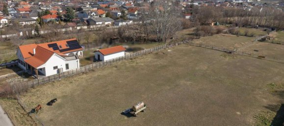  قطعة أرض في Gols, Austria رقم 256273 6