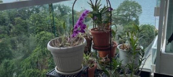 Кондоминиум  с 2 спальнями в Банг Саре, Таиланд № 3357 16