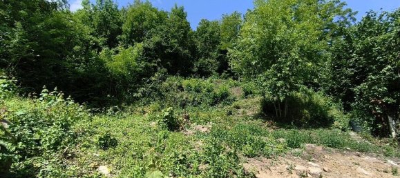 2561m² Land in Nesles-la-Vallee, France No. 169937 2