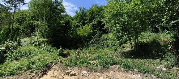 2561m² Land in Nesles-la-Vallee, France No. 169937 3