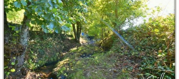 4 Schlafzimmer Stadthaus in Chateaumeillant, France, Nr. 79799 13