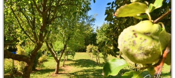 4 Schlafzimmer Stadthaus in Chateaumeillant, France, Nr. 79799 11