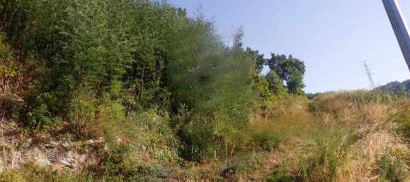 8934m² Land in Santo Tirso, Portugal No. 47062 5