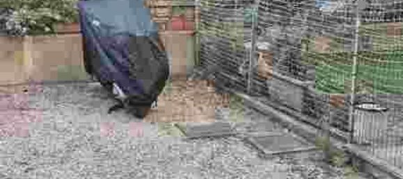 4 rooms Apartment in Grosseto, Italy No. 286650 11