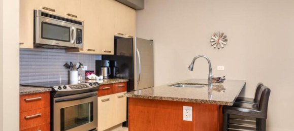 Studio in the Condo in British Columbia, Canada No. 1185 10