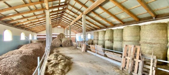 5-Zimmer Gewerbliche Immobilie in Varisella, Italy, Nr. 145119 8