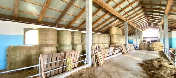 5-Zimmer Gewerbliche Immobilie in Varisella, Italy, Nr. 145119 10