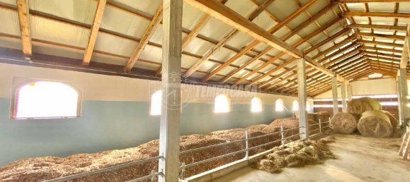 5-Zimmer Gewerbliche Immobilie in Varisella, Italy, Nr. 145119 9