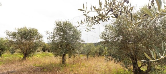 Casa T4 em Ourém, Portugal N.º 168766 43