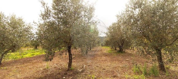 Casa T4 em Ourém, Portugal N.º 168766 39