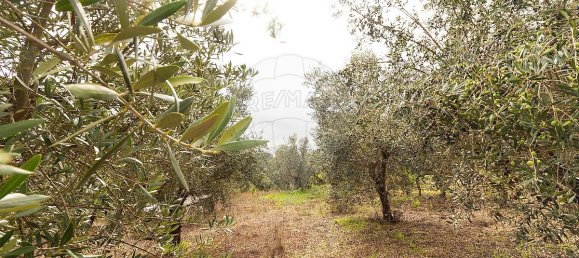 Casa T4 em Ourém, Portugal N.º 168766 40