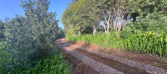 6 bedrooms Villa in Machico, Portugal No. 96800 31