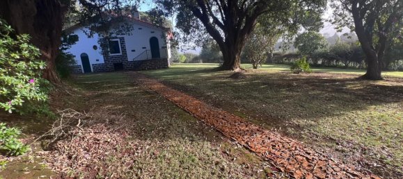 6 bedrooms Villa in Machico, Portugal No. 96800 29