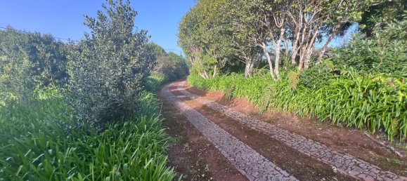 6 bedrooms Villa in Machico, Portugal No. 96800 28