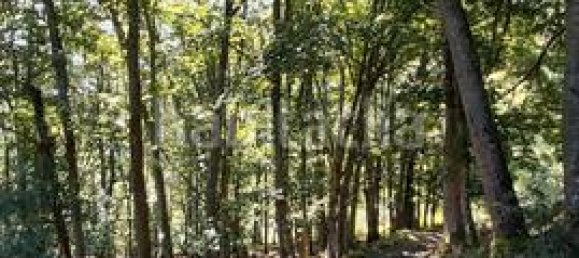 Casa de 2 dormitorios en Piloña, Spain No. 173680 23