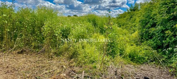 Земельный участок в Андалусия, Испания № 159276 23