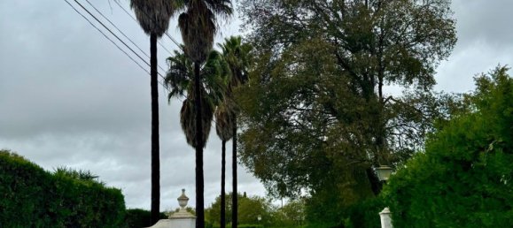 Земельный участок в Андалусия, Испания № 159276 13