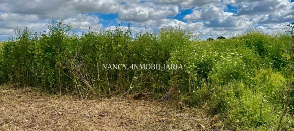 Земельный участок в Андалусия, Испания № 159276 22