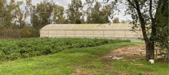 6 rooms Apartment in Cisterna di Latina, Italy No. 100489 19