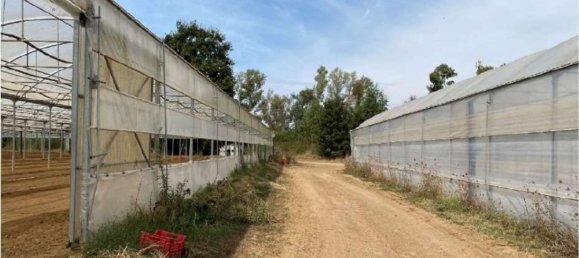 6 rooms Apartment in Cisterna di Latina, Italy No. 100489 18