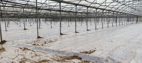 6 rooms Apartment in Cisterna di Latina, Italy No. 100489 17