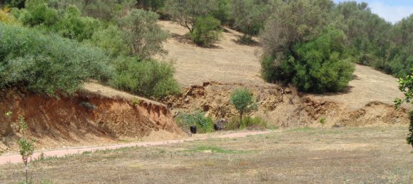 4 bedrooms Villa in Mijas, Spain No. 43569 37