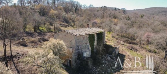 3 Schlafzimmer Haus in San Casciano dei Bagni, Italy, Nr. 56902 2