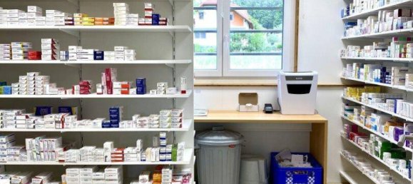 Büro in Dechantskirchen, Austria, Nr. 173868 9