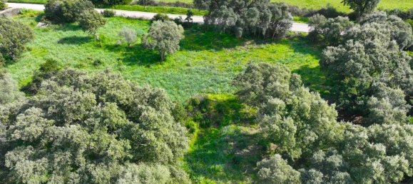  Land in Cuttoli-Corticchiato, France No. 268920 2