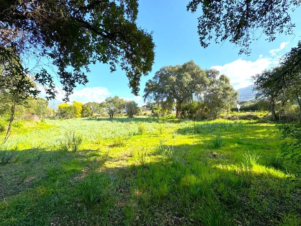  Land in Cuttoli-Corticchiato, France No. 268920