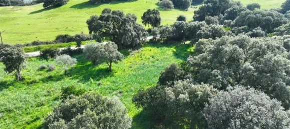  Land in Cuttoli-Corticchiato, France No. 268920 4