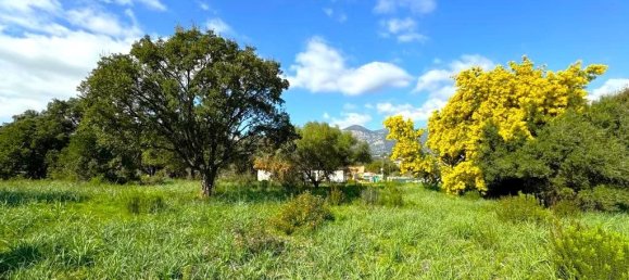  Land in Cuttoli-Corticchiato, France No. 268920 3