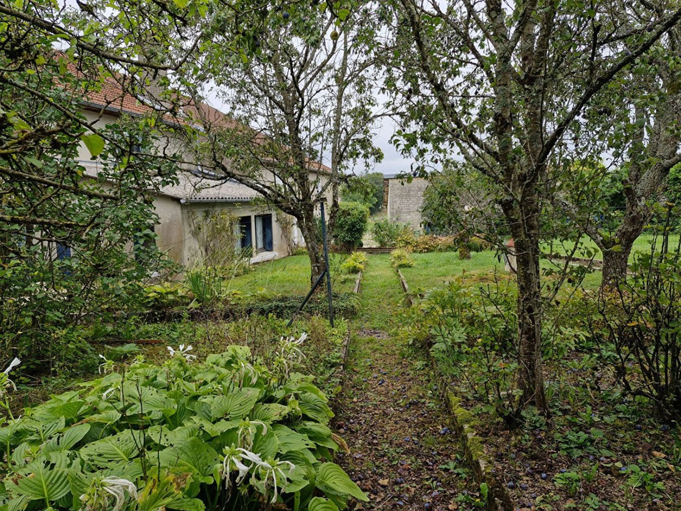 4 غرف نوم منزل في Biesles, France رقم 213056