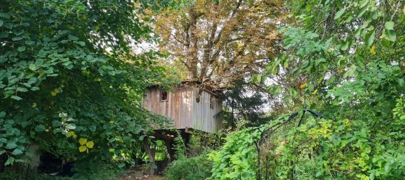 5-salle Maison à Biberach, Germany No. 354867 24