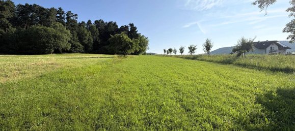 Terreno en Neumarkt im Muhlkreis, Austria 15737 m² No. 161161 3