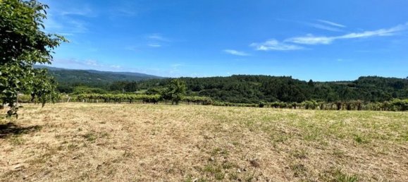 6 chambres Maison à Silleda, Spain No. 50554 38