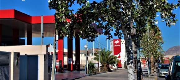 33 Schlafzimmer Gebäude in Alicante, Spain, Nr. 66222 21