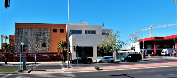 33 Schlafzimmer Gebäude in Alicante, Spain, Nr. 66222 17