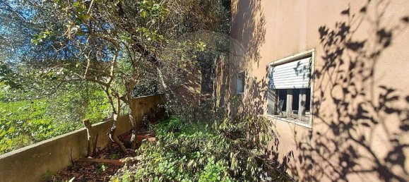 Земельный участок 3818м² в Мафра, Португалия № 161124 25