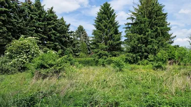  Land in Grafenworth, Austria No. 163367