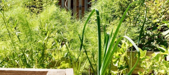 25m² Land in Dahme-Spreewald, Germany No. 344231 2