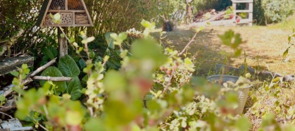 25m² Land in Dahme-Spreewald, Germany No. 344231 13