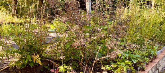 25m² Land in Dahme-Spreewald, Germany No. 344231 4