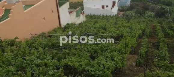 2 Schlafzimmer Haus in Santa Ursula, Spain, Nr. 33091 17